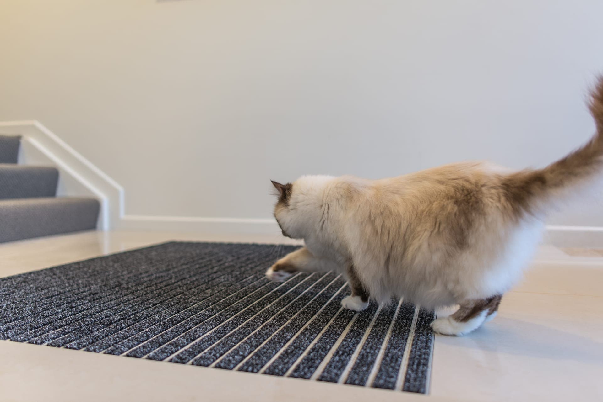Commercial entrance matting installation